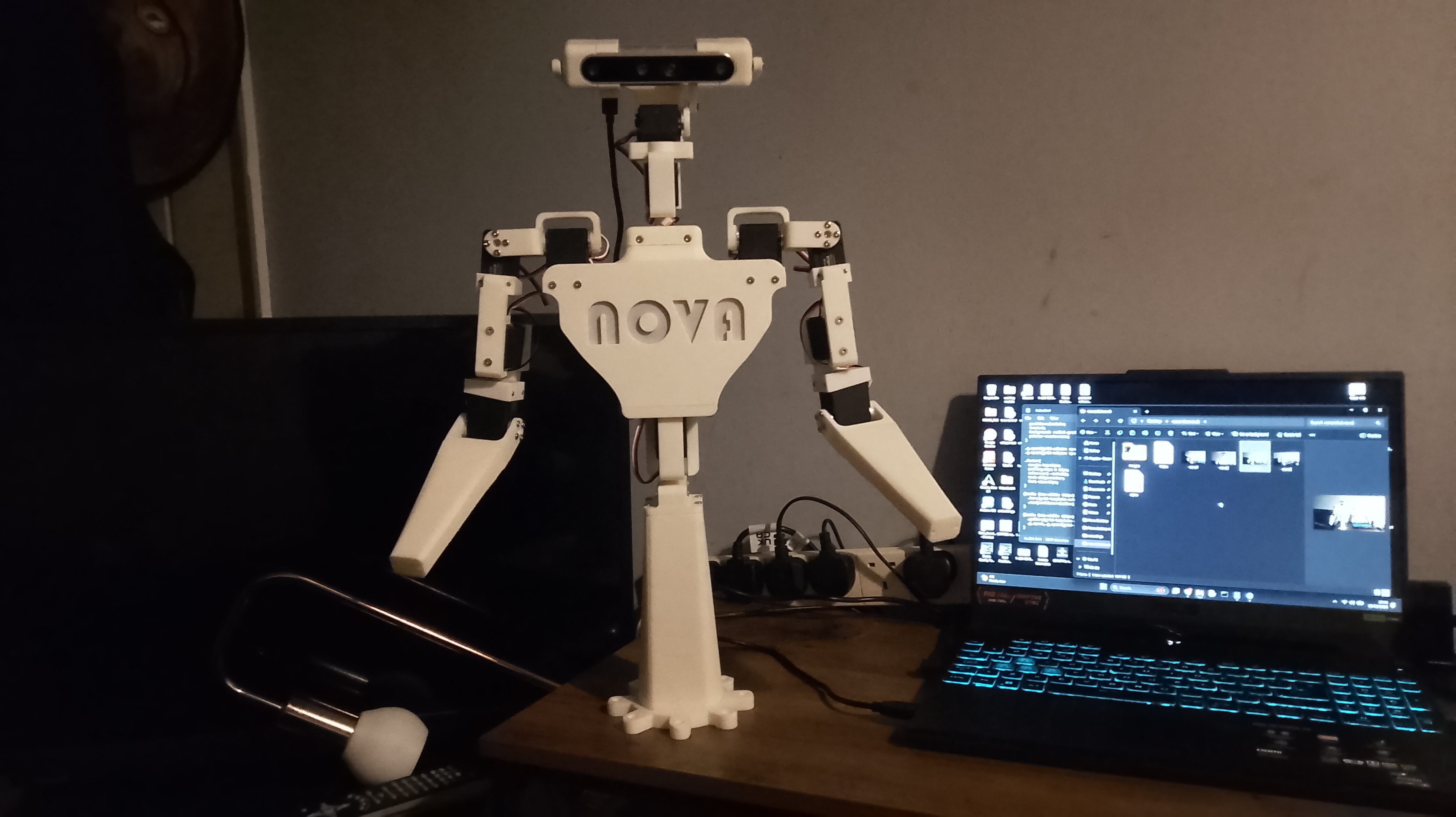 Nova on a desk